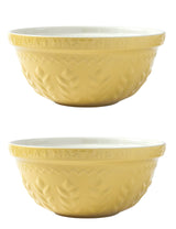 M&S Tala Set of 2 Stoneware Mixing Bowls 30cm- Buy online at McGrocer