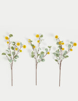 M&S Eucalyptus Erythrocorys Single Stems Artificial Flowers - Set of 3- Buy online at McGrocer