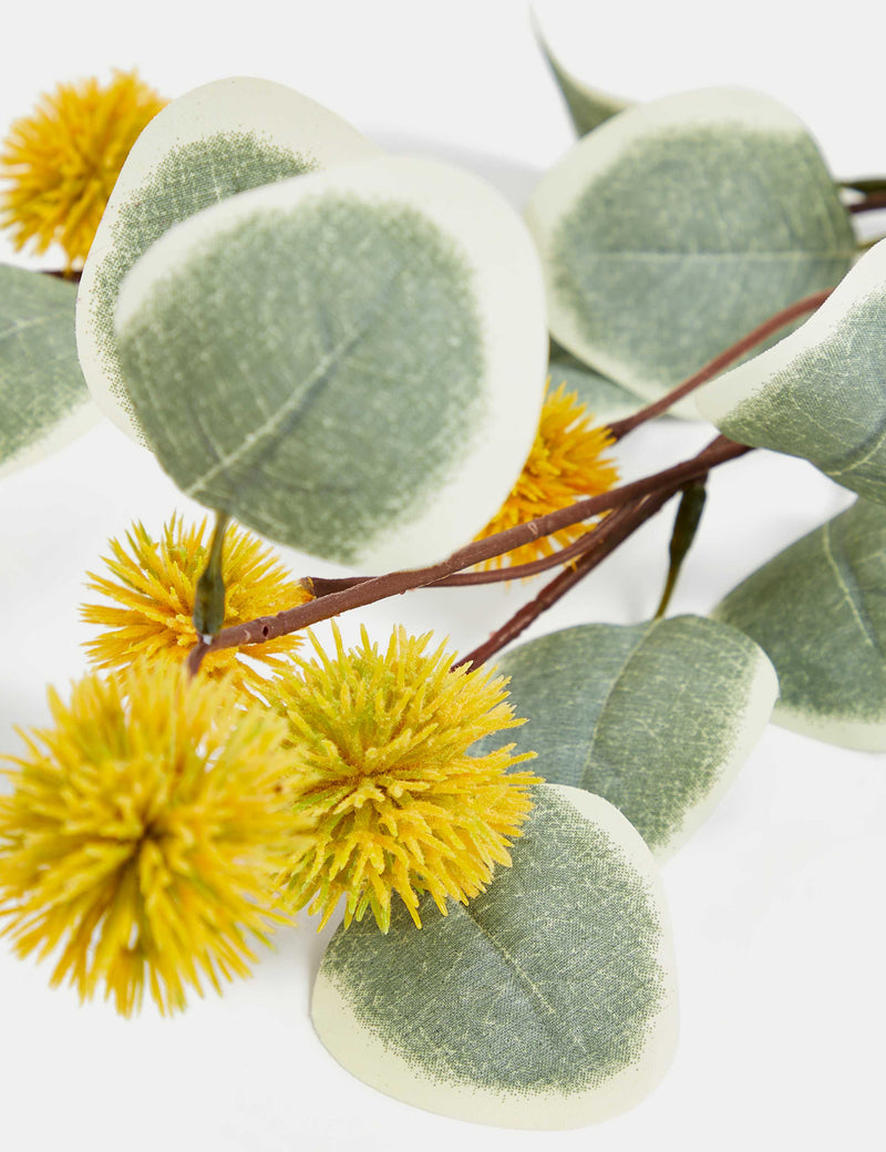 Artificial eucalyptus erythrocorys stems set of three (British brand)