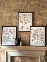 M&S Gallery Direct Set of 3 Evergreen Framed Art- Buy online at McGrocer