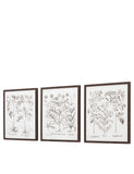 Gallery Direct set of 3 botanical framed prints, imported from the UK