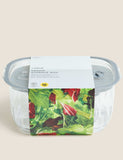 Set of 3 nesting fridge storage containers (British brand)