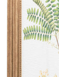 Gallery Direct assorted fern framed art set, imported from the UK
