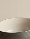Michigan cereal bowls set of 4 (British brand)