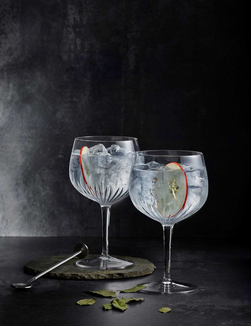 Set of 4 Mixology Spanish Gin Glasses