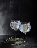 Set of 4 Mixology Spanish Gin Glasses