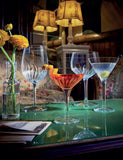Set of 4 Mixology Spanish Gin Glasses