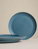 Plastic picnic dinner plates set of 4, imported from the UK