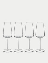 M&S Luigi Bormioli Talismano Prosecco Glasses Set of 4 40cl- Buy online at McGrocer