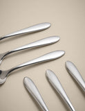 Maxim set of 6 stainless steel teaspoons, imported from the UK