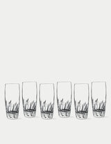 M&S Luigi Bormioli Mixology Incanto Highball Glasses Set of 6- Buy online at McGrocer