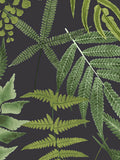 Graham & Brown Midsummer wallpaper sample, imported from the UK