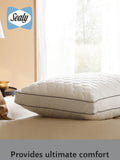 Sealy side sleeper pillow (British brand)