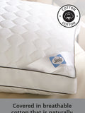 Sealy side sleeper pillow (British brand)