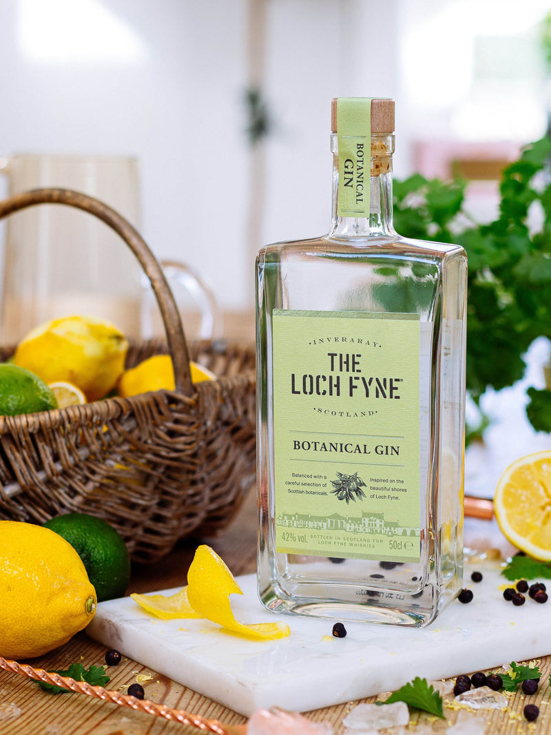 DrinksTime Loch Fyne Botanical Gin 50cl - British product
