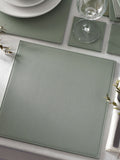 Sage green reversible faux leather placemats and coasters set of 4 (British brand)