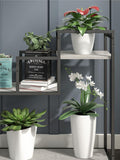 Novogratz grey Weston plant stand with faux concrete finish, UK version