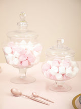 Next Maison by Premier Clear Large Glass Candy Storage Jar- Buy online at McGrocer