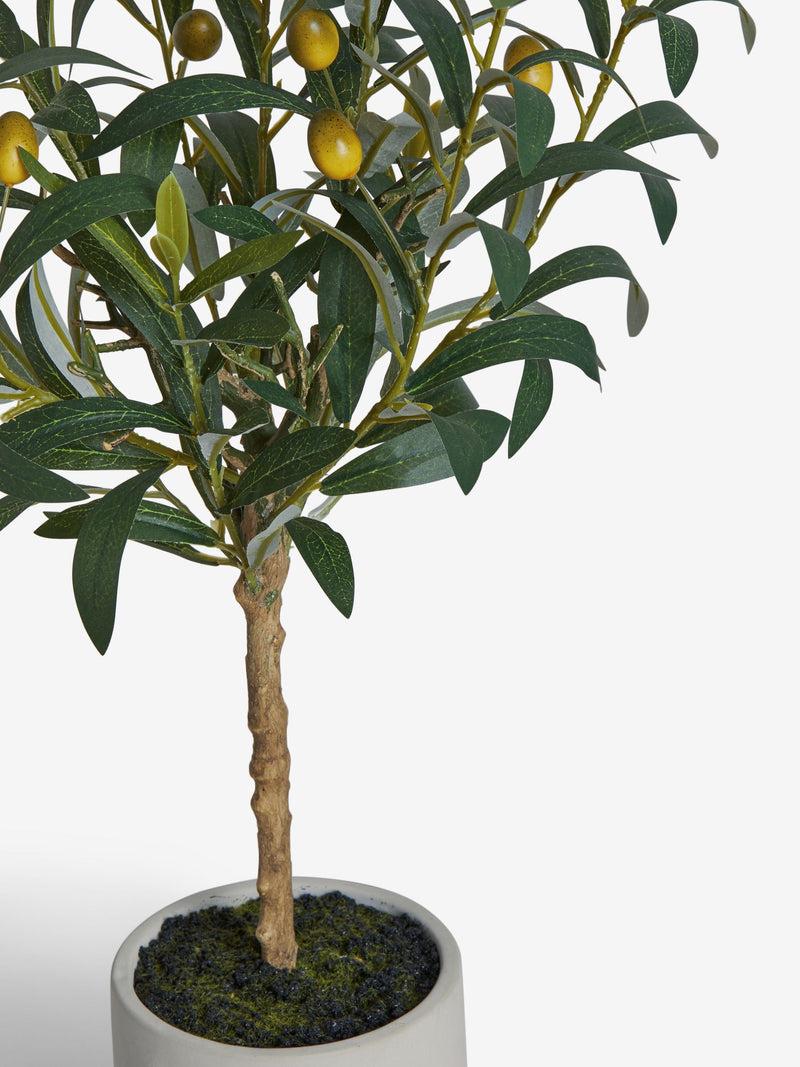 Small artificial olive tree in concrete pot, UK version