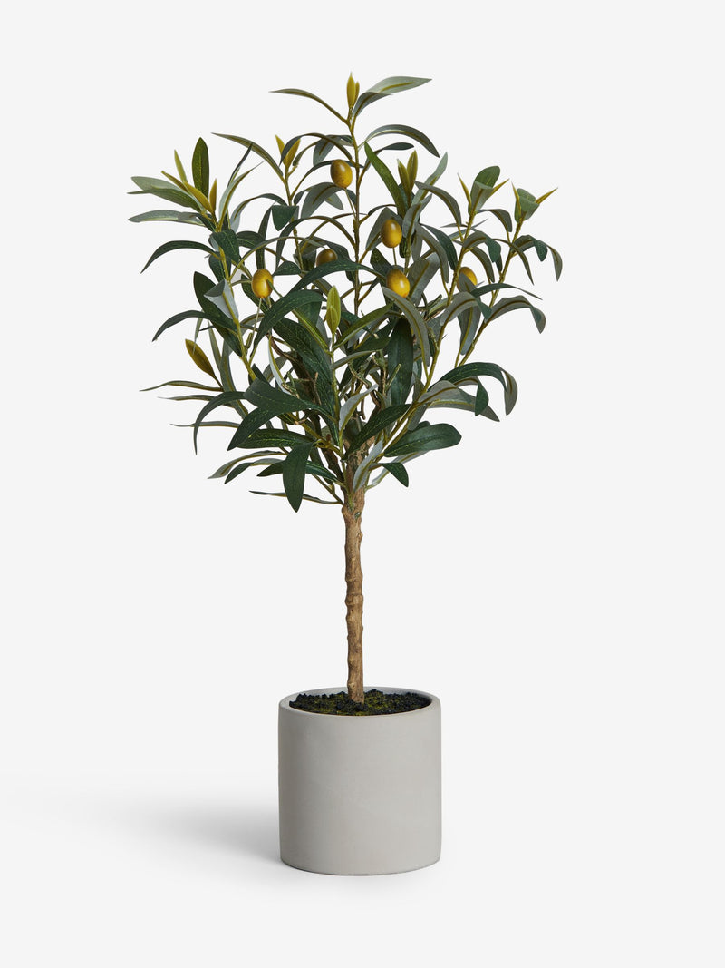 Small artificial olive tree in concrete pot, UK version
