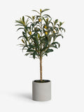 Small artificial olive tree in concrete pot, UK version