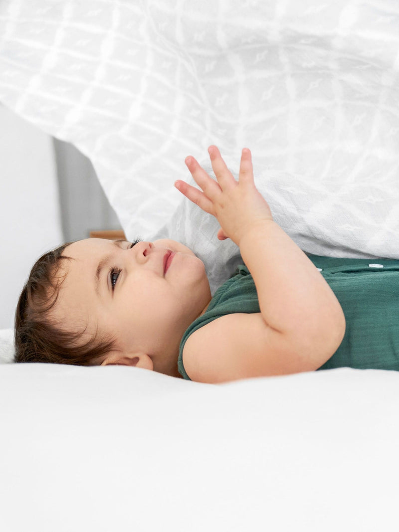 aden + anais grey muslin blankets 3 pack - British product