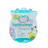 ASDA Squishmallows Squish-a-longs 2 Pack Blinds Series 1 Mini-Squish Collectible- Buy online at McGrocer