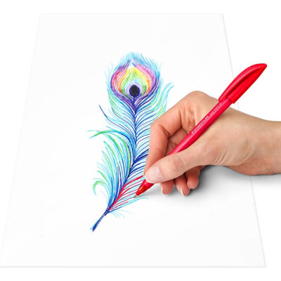 Staedtler rainbow ballpoint pens 10 pack, UK version