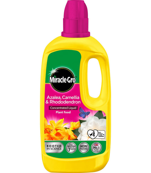 Miracle Gro Azalea, Camellia & Rhododendron Concentrate plant food GOODS ASDA   