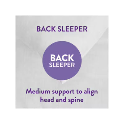 Slumberdown Cosy Up pillow pair Standard UK Sizing (British brand)
