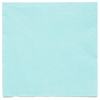 Amscan duck egg luncheon paper napkins 20 pack 33cm (British brand)