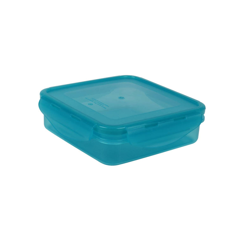 George Home sandwich lunch box container, UK version