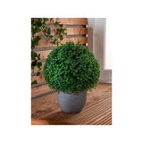ASDA George Home Artificial Ball with Pot 24x24x31cm- Buy online at McGrocer