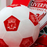 Liverpool FC official 3D football cushion 25x25cm - British product