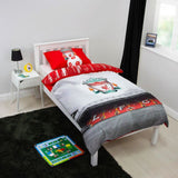 Liverpool FC official 3D football cushion 25x25cm - British product
