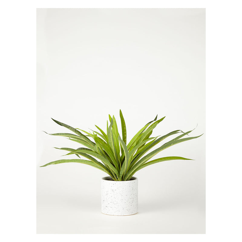 George Home faux plant in speckled pot 30cm, UK version