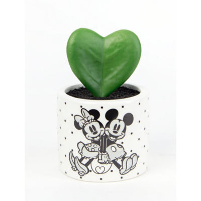 George Home artificial succulent with Mickey and Minnie Mouse in white pot (British brand)