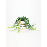 George Home Disney Winnie The Pooh faux succulent 9cm, UK version