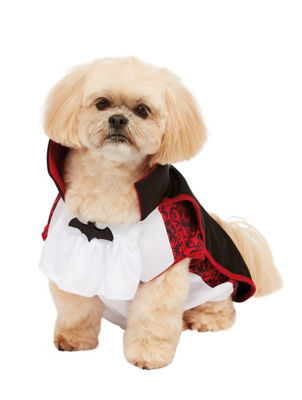 George Home pet vampire costume, imported from the UK