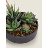 George Home artificial succulents in black bowl, UK version