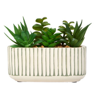 George Home faux succulent striped trough 13cm, imported from the UK