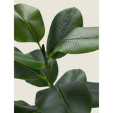 George Home artificial rubber tree 70cm, imported from the UK