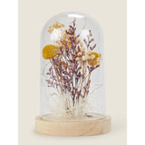 George Home yellow dry flower bell jar with LED light, UK version
