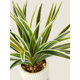 George Home cream artificial grass pot 30x30x28 cm, UK version