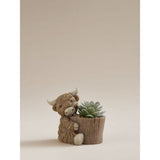 ASDA George Home Artificial Succulent In Brown Highland Cow Planter 10 x 8 x 12cm- Buy online at McGrocer