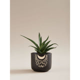 ASDA George Home Grey Artificial Aloe Plant in Cement Crescent Motif Pot - 16 x 16 x 19cm- Buy online at McGrocer