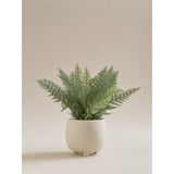 ASDA George Home Artificial Fern In Cream Footed Pot 28cm- Buy online at McGrocer