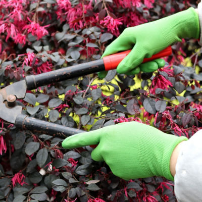 ASDA Medium Garden Smooth Gloves