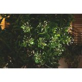 George Home Starburst string lights 10 pack, imported from the UK