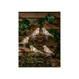 ASDA George Home Bird String Lights 5 Pack- Buy online at McGrocer